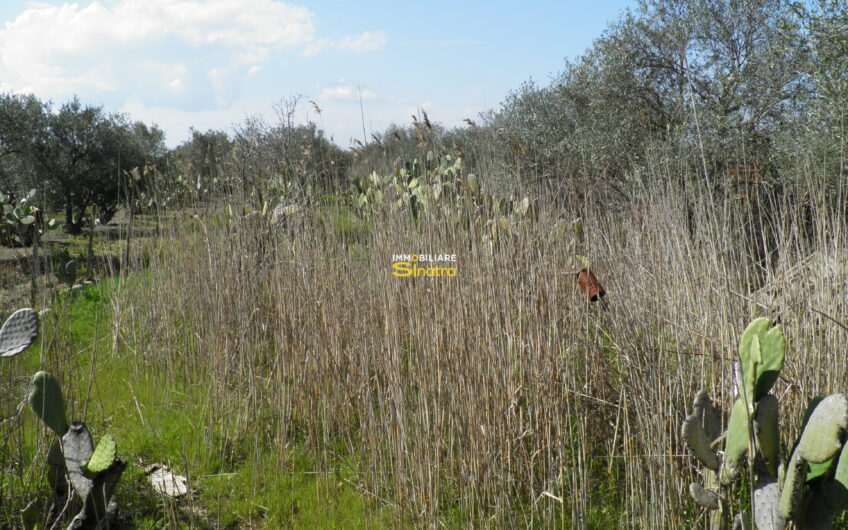 I-242 RAMACCA – CONTRADA IANNARELLO