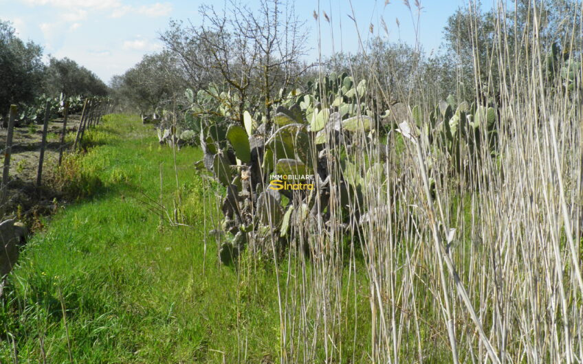 I-242 RAMACCA – CONTRADA IANNARELLO